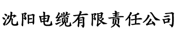 亚洲中文字幕一区二区三区不卡电缆厂logo